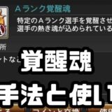 覚醒魂入手法使い方