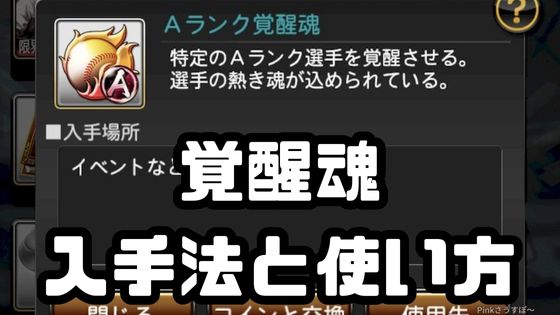 覚醒魂入手法使い方