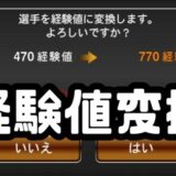 Sランク経験値変換