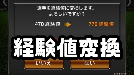 Sランク経験値変換