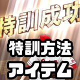 特訓方法アイテム