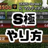 S極とは？やり方