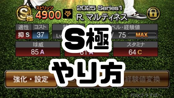 S極とは？やり方