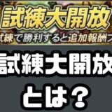 試練大開放とは?