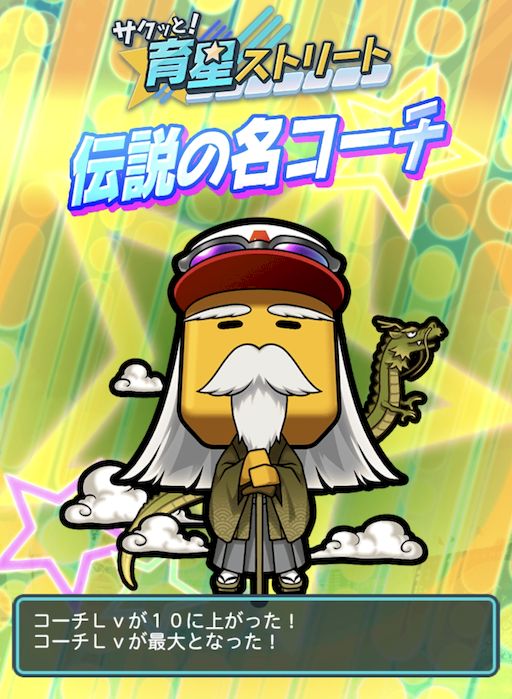 育星ストリートコーチレベル