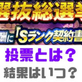 アニバーサリー総選挙